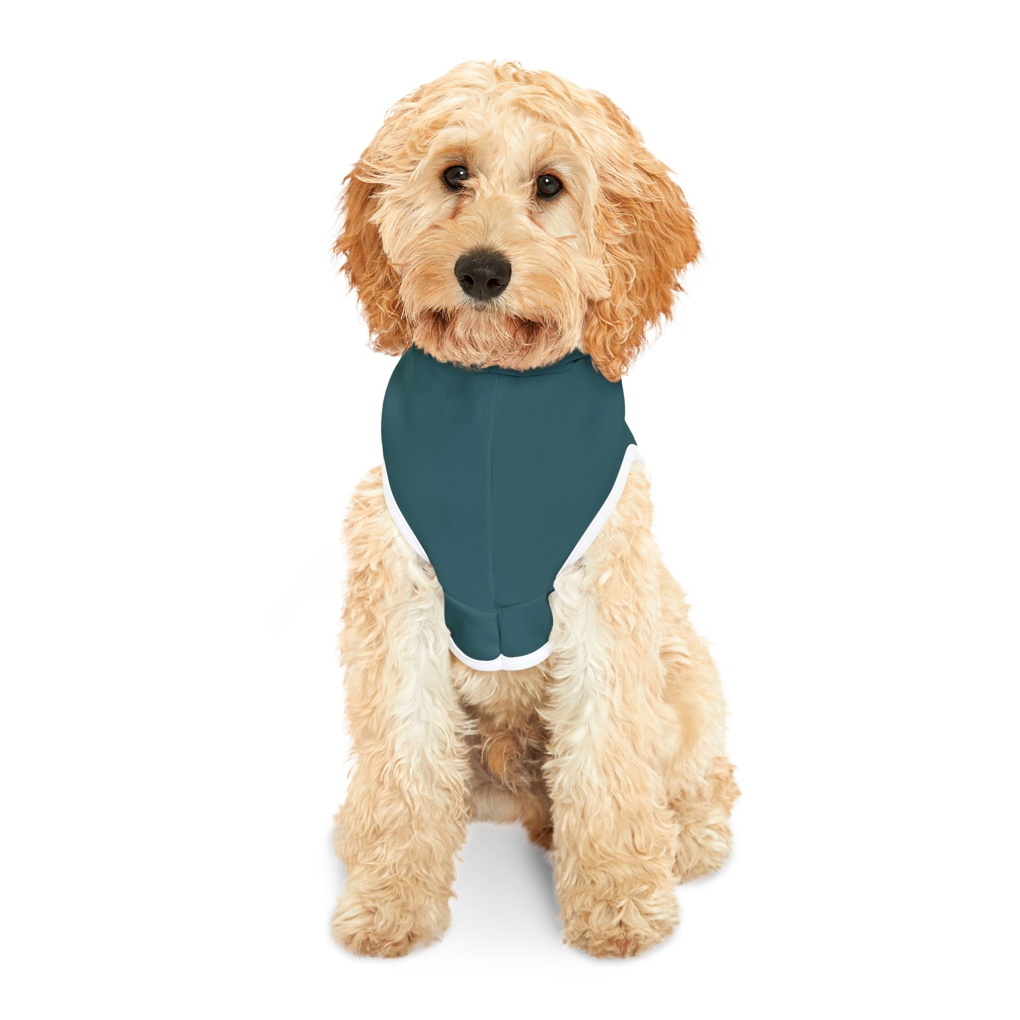 FAANG Reject Dog Hoodie – Funny Tech-Inspired Pet Sweatshirt for Washed-Up Work-from-Home Dogs